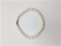 Bracciale Soma Gioielli Donna Bracciale Perle in Perle Perla SON BR PERLE/OB FRESH WATER - SON BR PERLE/OB FRESH WATER
